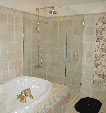 S5 Frameless Shower Door
